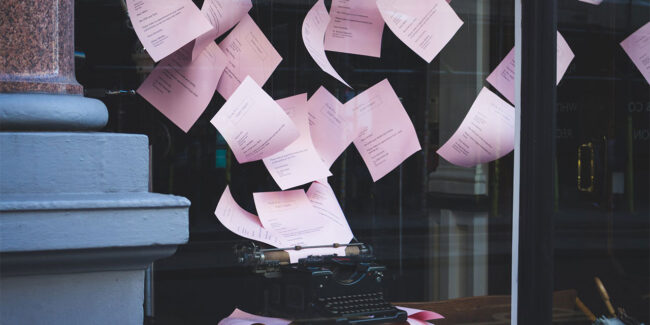 elvy-pagina-header