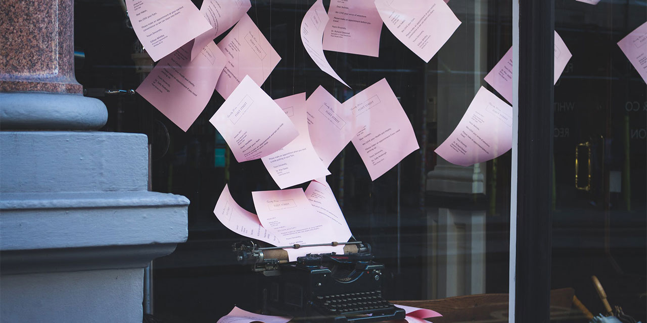 elvy-pagina-header